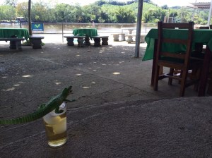 He's at it again... A sneak peak of the super rad amazing epic adventure to come